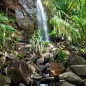 7. Cascade Praslin Vallée de Mai