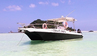 Excursions en bateau sur l'île