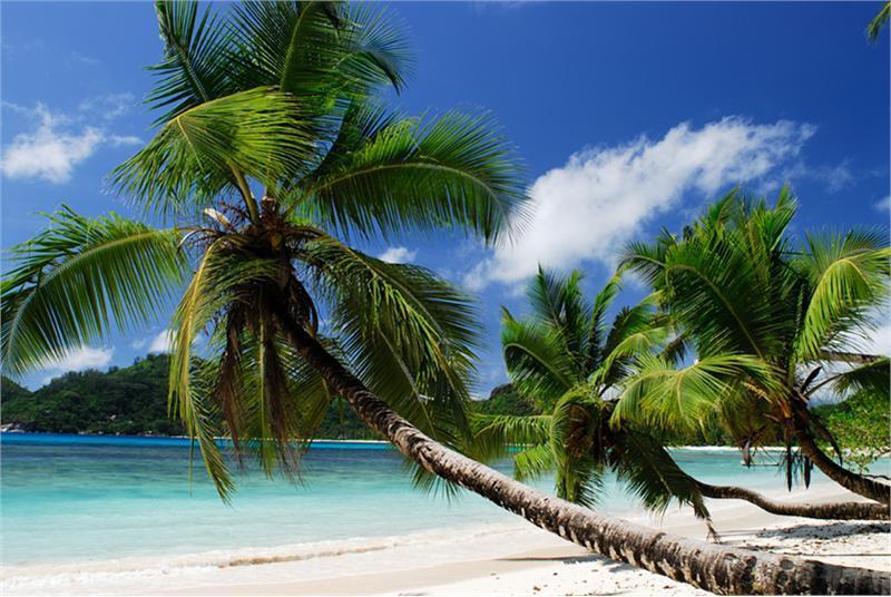 Plage tropicale de Mahé